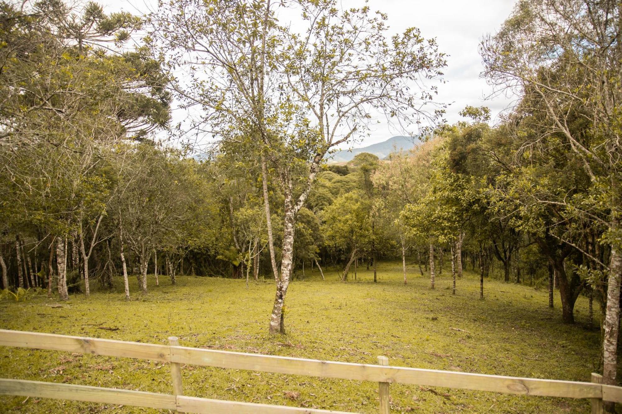 Cabana Com Hidromassagem Bom Retiro  Luaran gambar